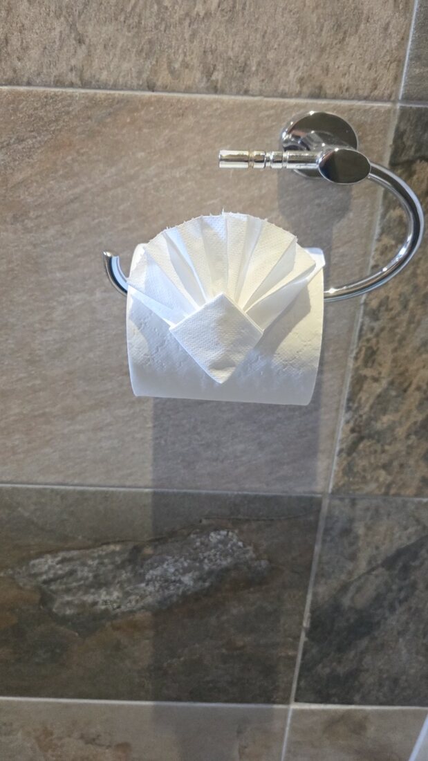 Toilet roll finished with a decorative fan fold