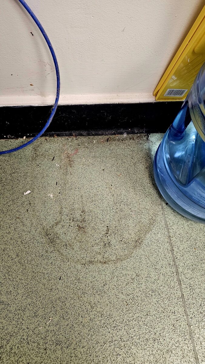 Vinyl flooring in nursery toilets before a commercial clean